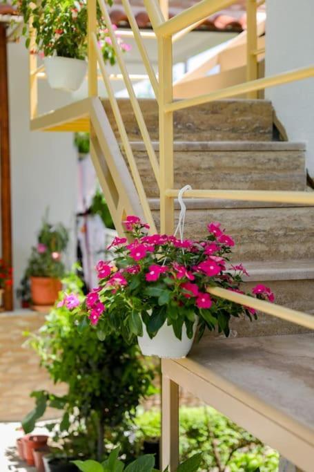Cereni Guesthouse Berat Eksteriør bilde